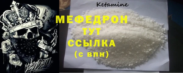 индика Гусев