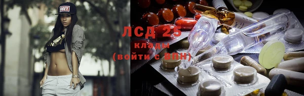индика Гусев