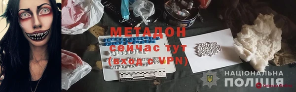 индика Гусев