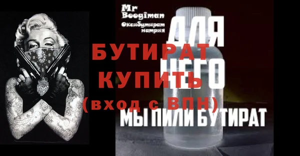 индика Гусев