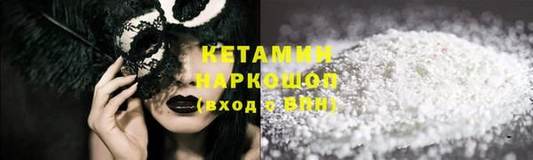 индика Гусев