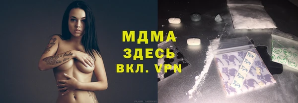 индика Гусев