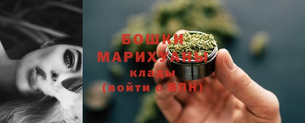 индика Гусев