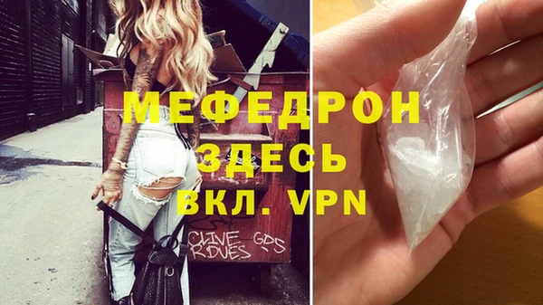 индика Гусев