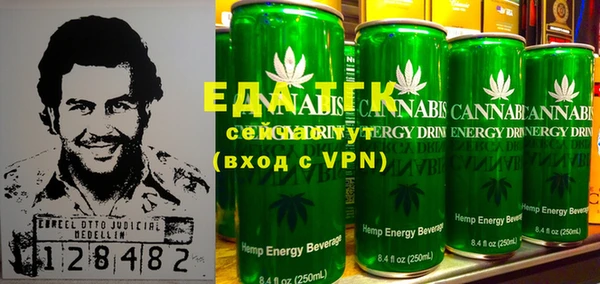 индика Гусев