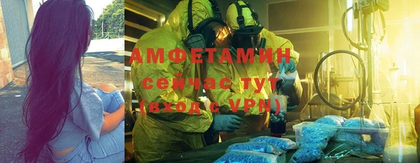 индика Гусев