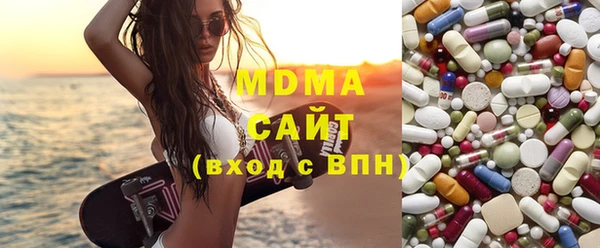 индика Гусев