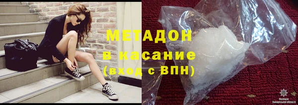 индика Гусев