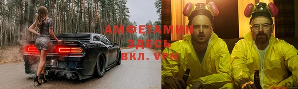 индика Гусев