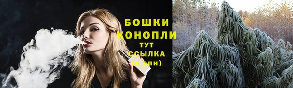 ешки Гусиноозёрск